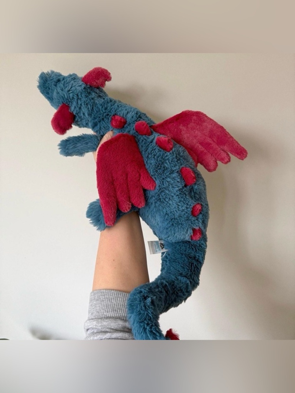 NWT Dexter Dragon Large